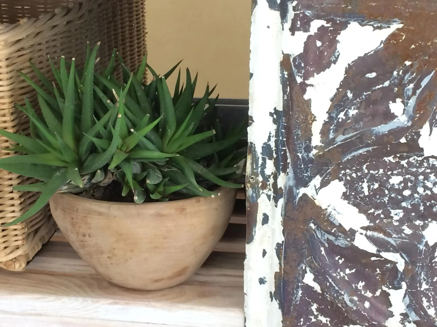 The Cottage 39 Steyn