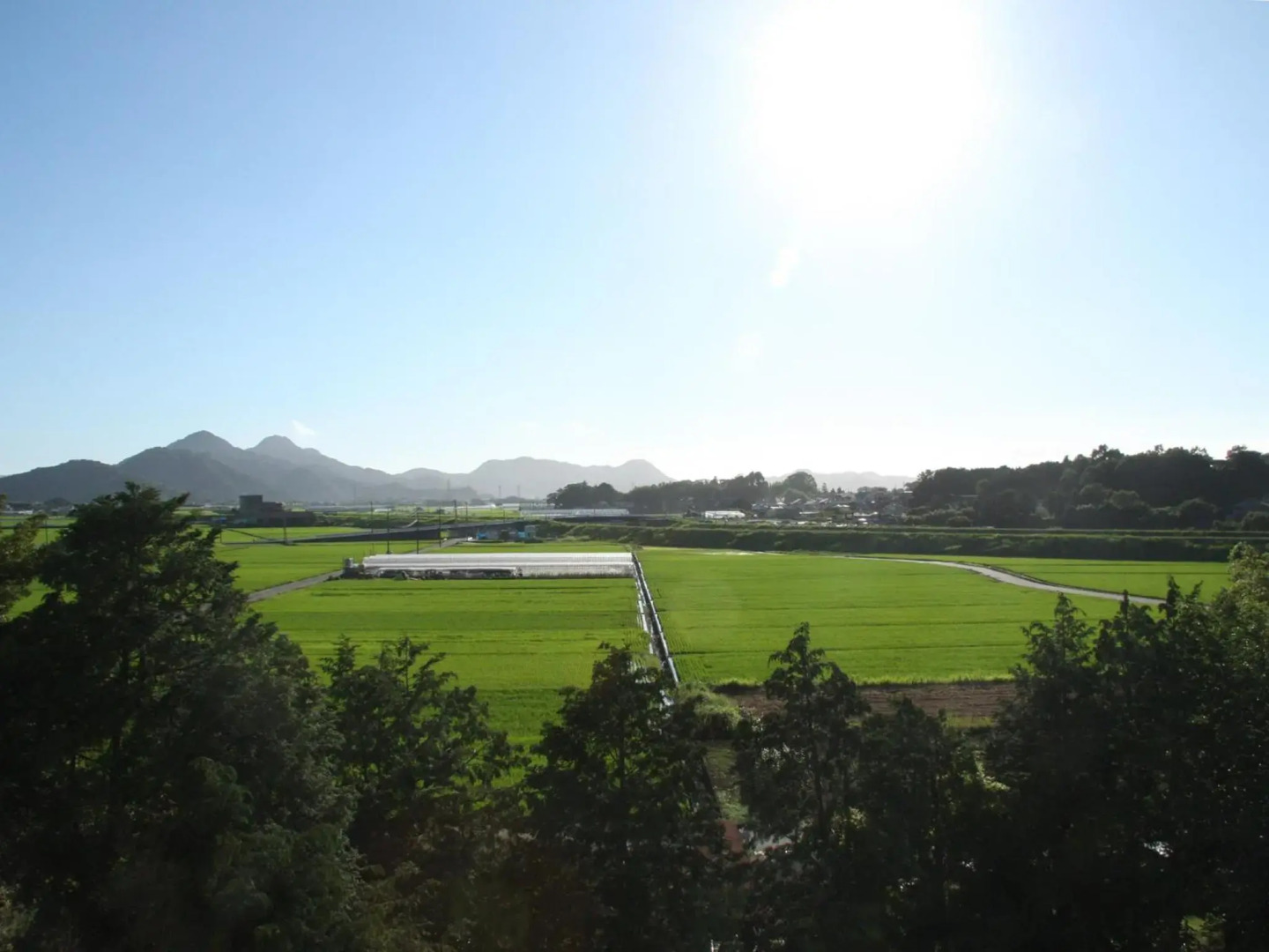 Izu Hatake Onsen Daisenya