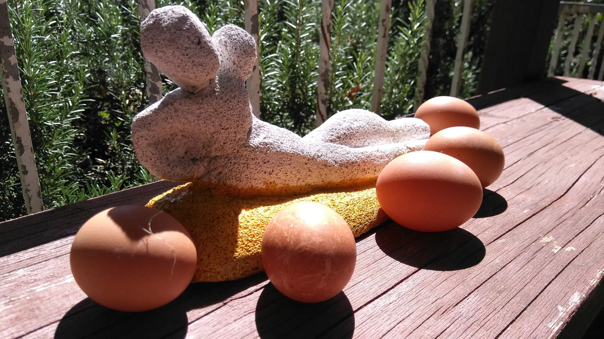 CIVETTA-Wohnung-kleines-Nest