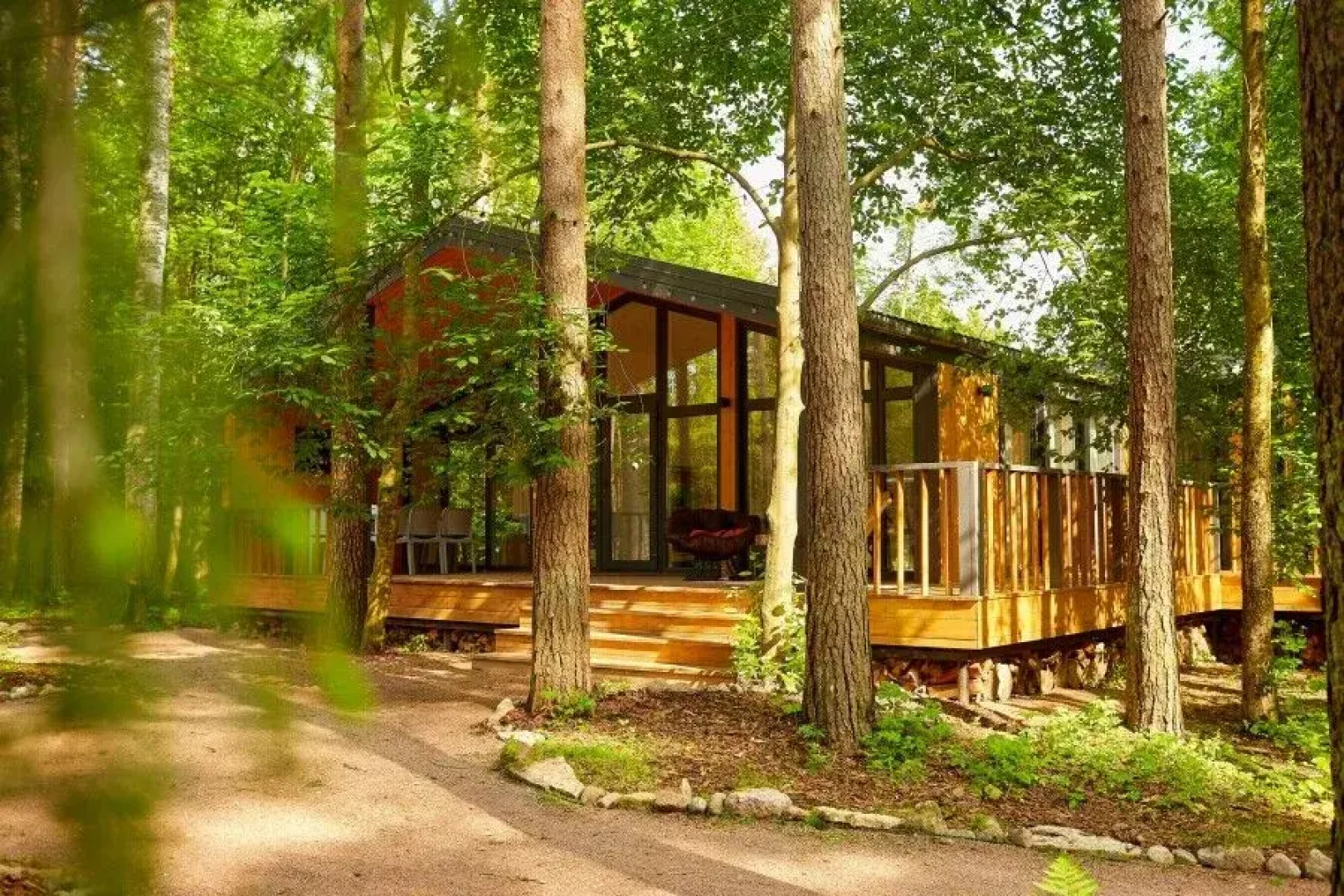 Репинские дачи