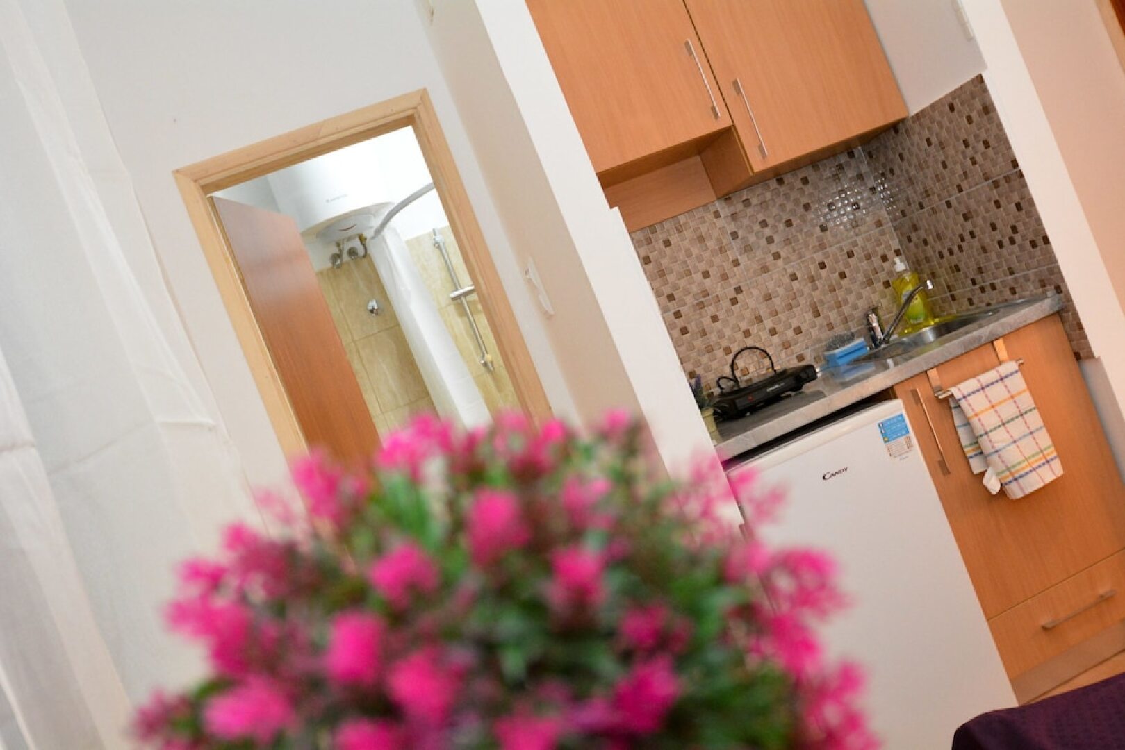 Apartments Risan Center