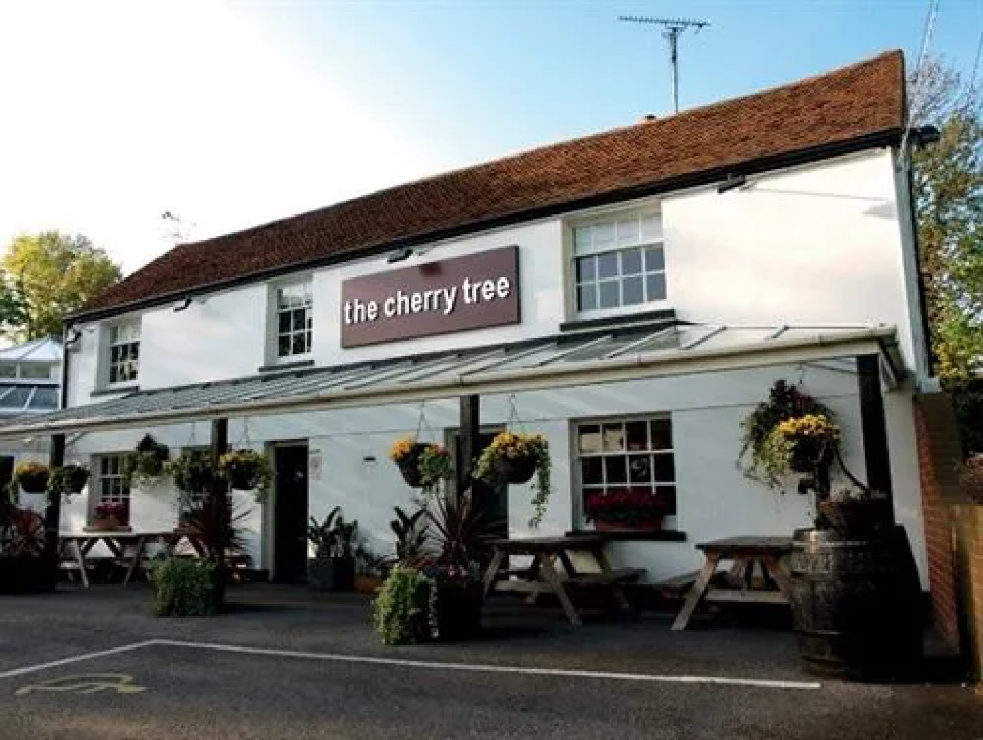 The Cherry Tree