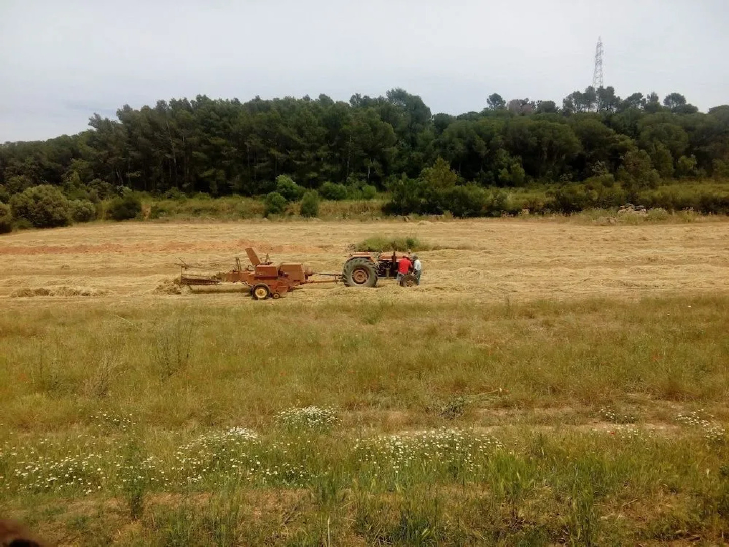 Can Barnosell - Els Masos d'en Coll
