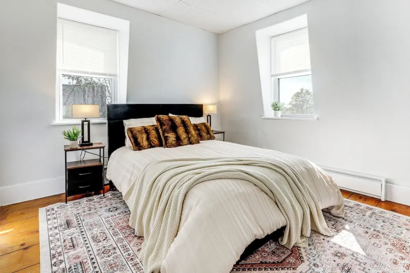 Explore Dtwn, Parks & Colleges: Cozy Worcester Apt
