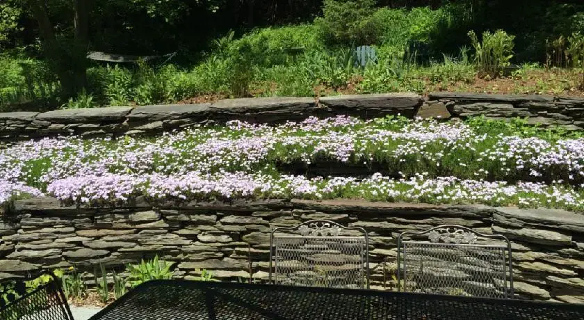 Betsys Bed & Breakfast