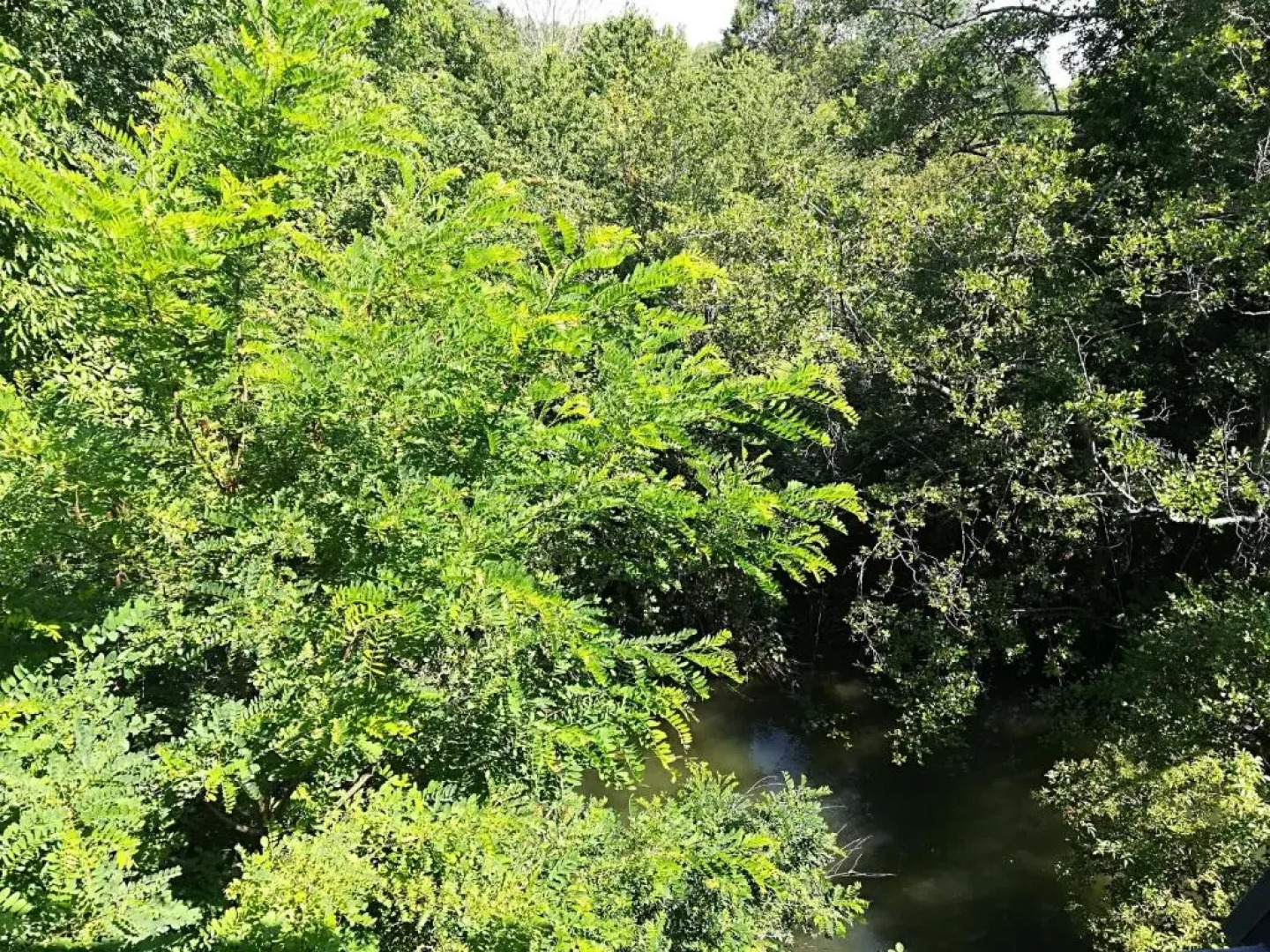 Studio neuf standing -balcon prox autoroutes