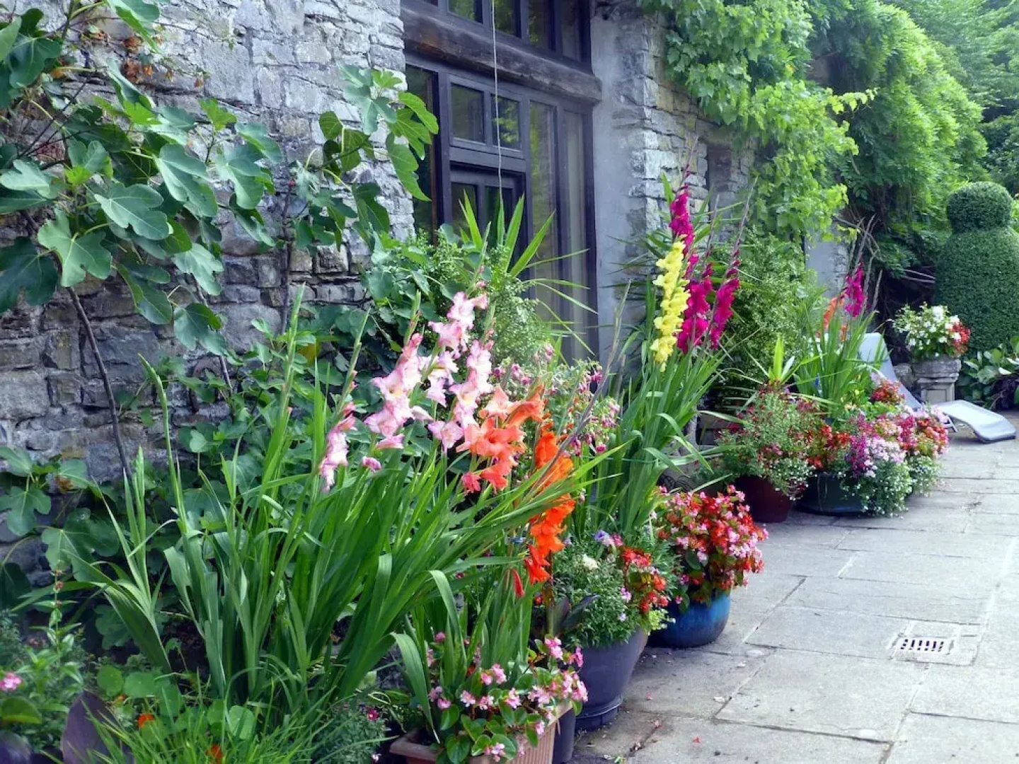 Ty Cefn Tregib B&B