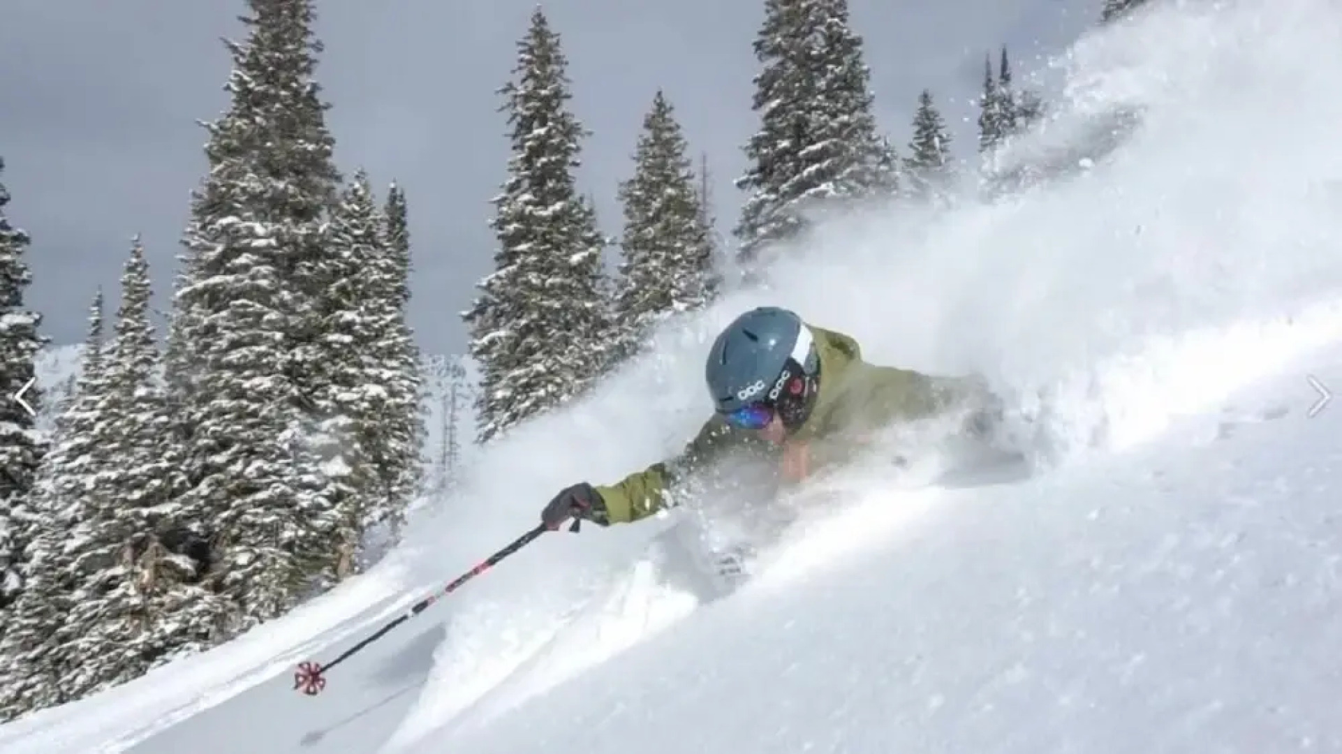 The Maples at Warner