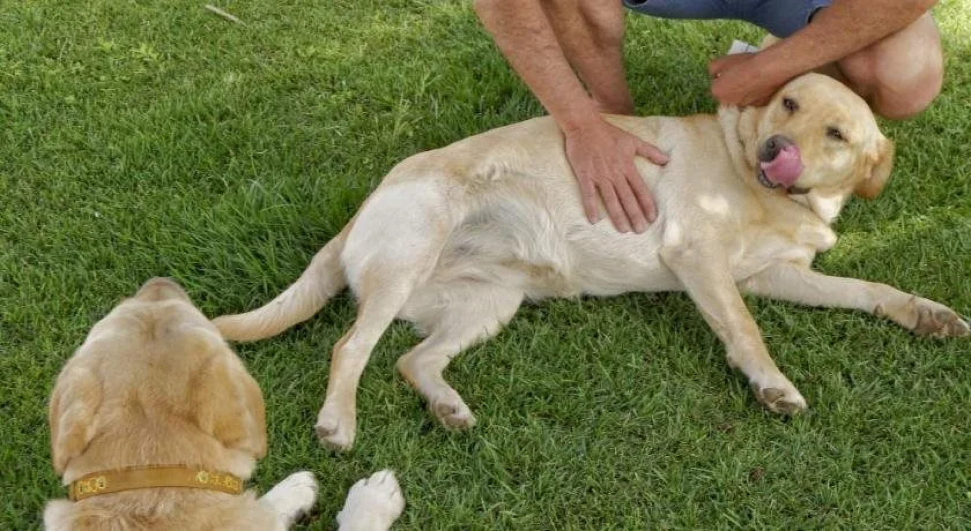 Monte da Cascalheira