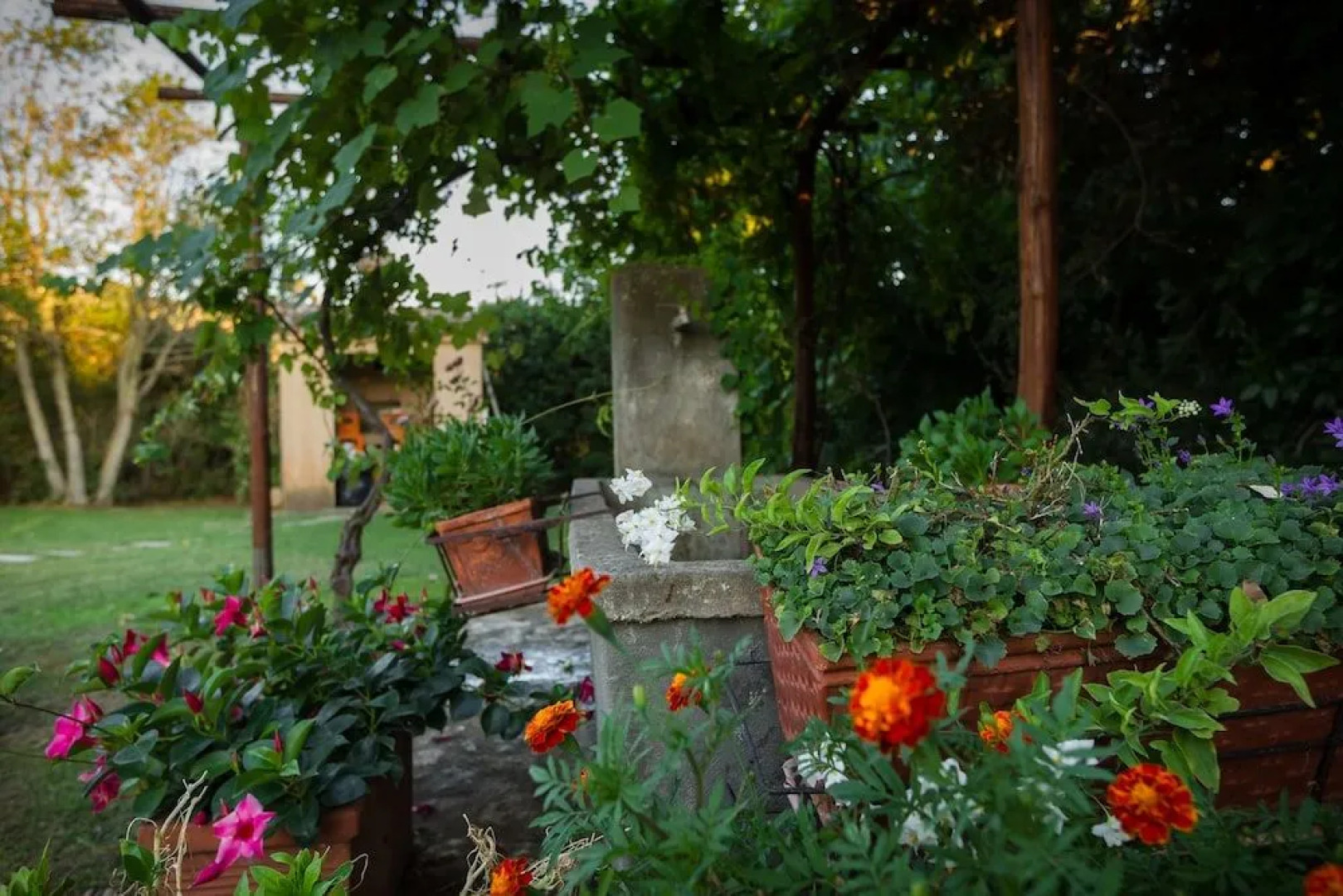 Agriturismo Antica Pinciana