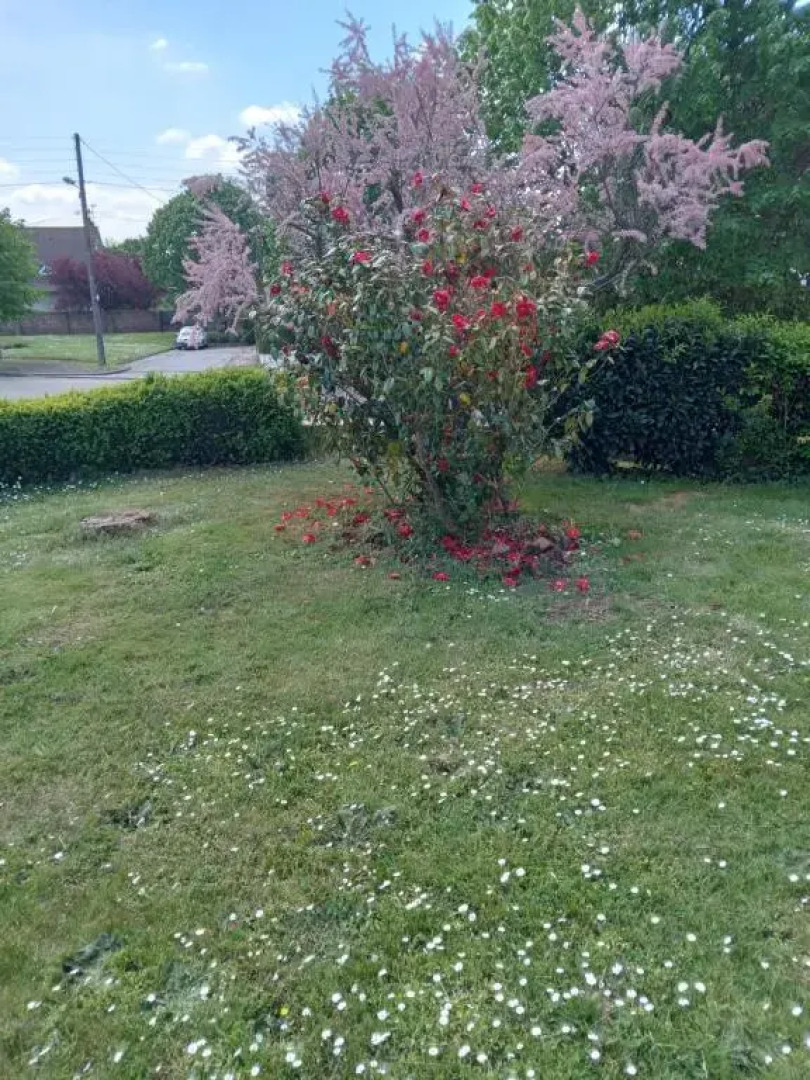 Les 3 chambres de LYLY situées a Brou