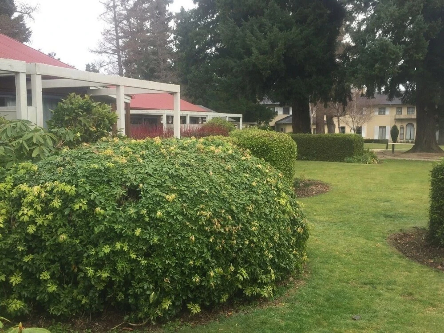 18 Jollies Pass Rd - Garden Studio 348