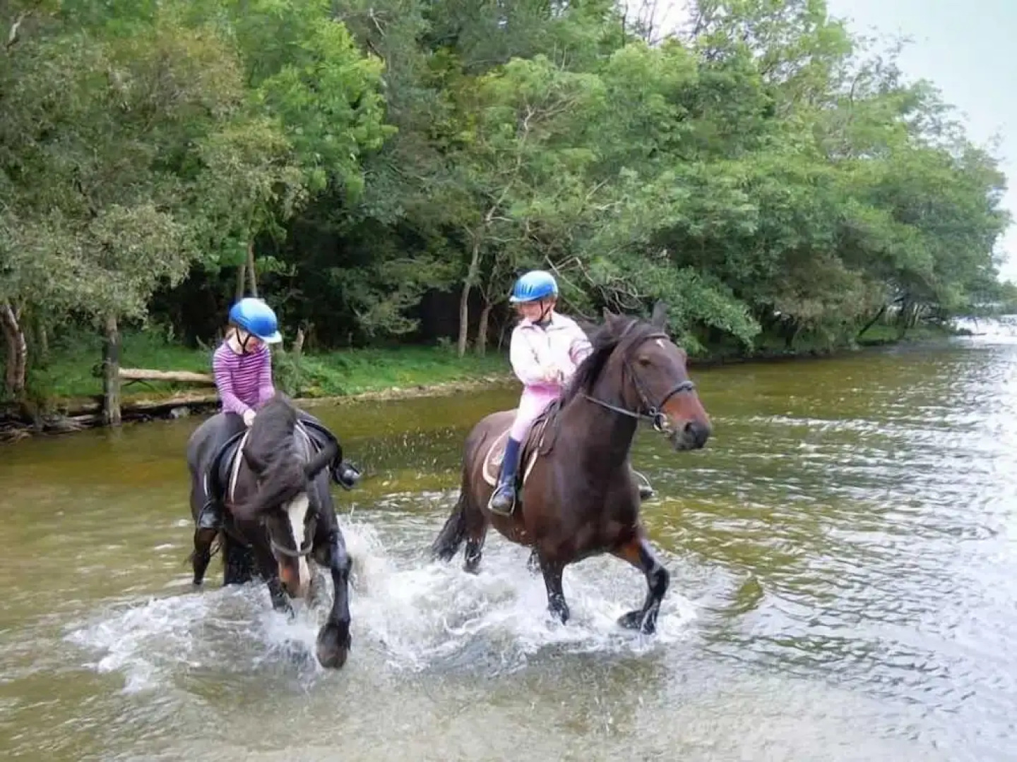 Ross House Equestrian Holidays
