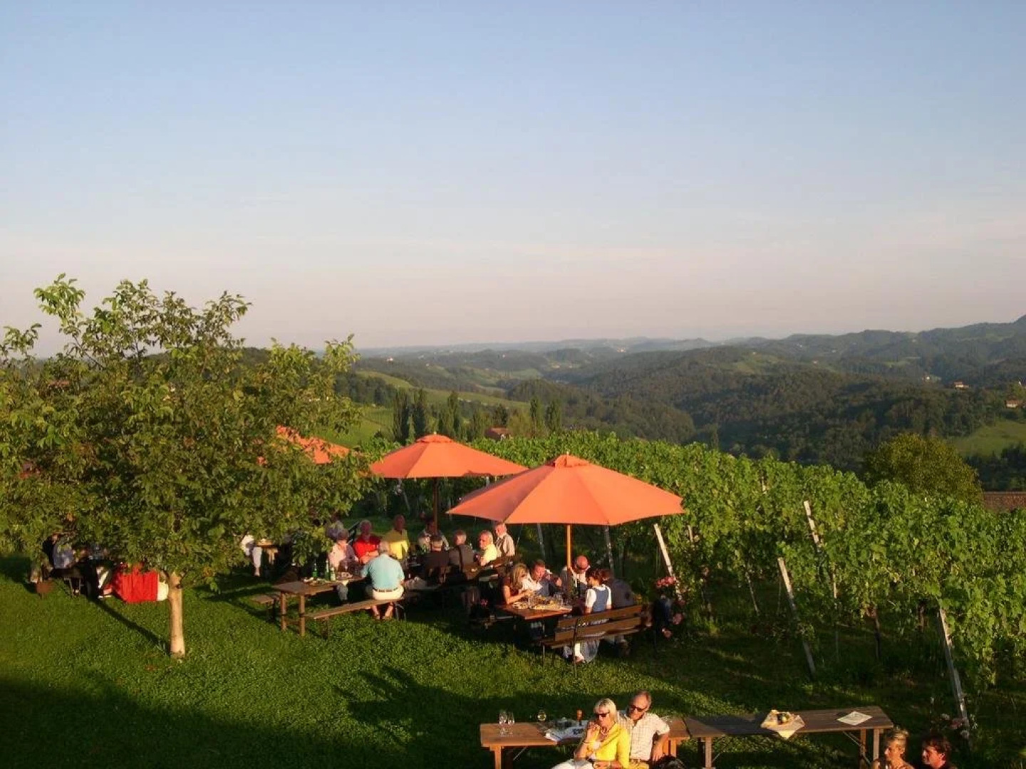 Kultur Weingut Kästenburg