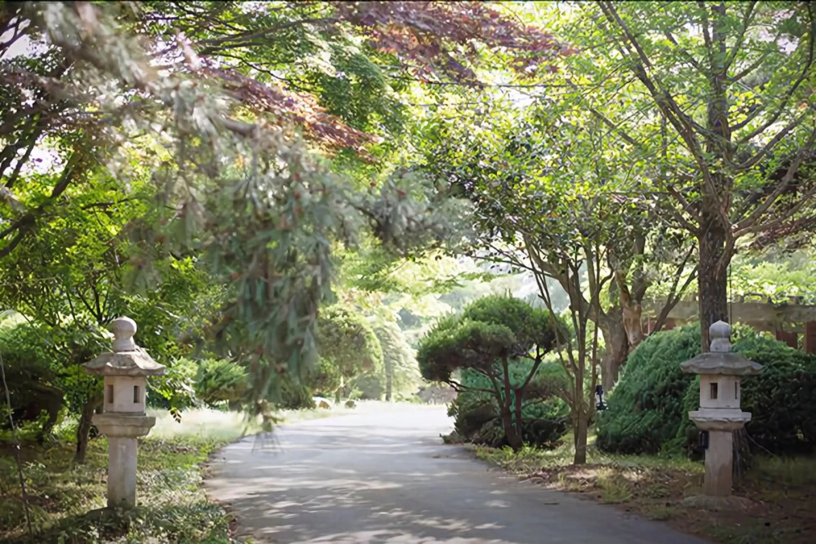 Taean Wood Fragrance Pension