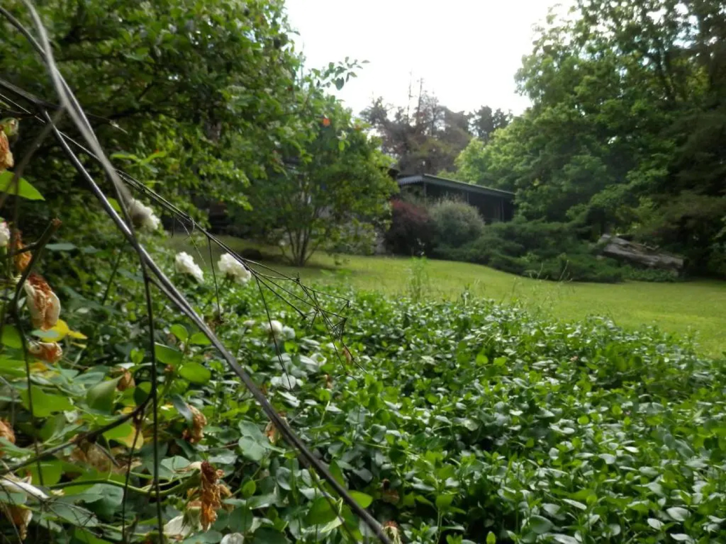 Manantial Hostería & Cabañas