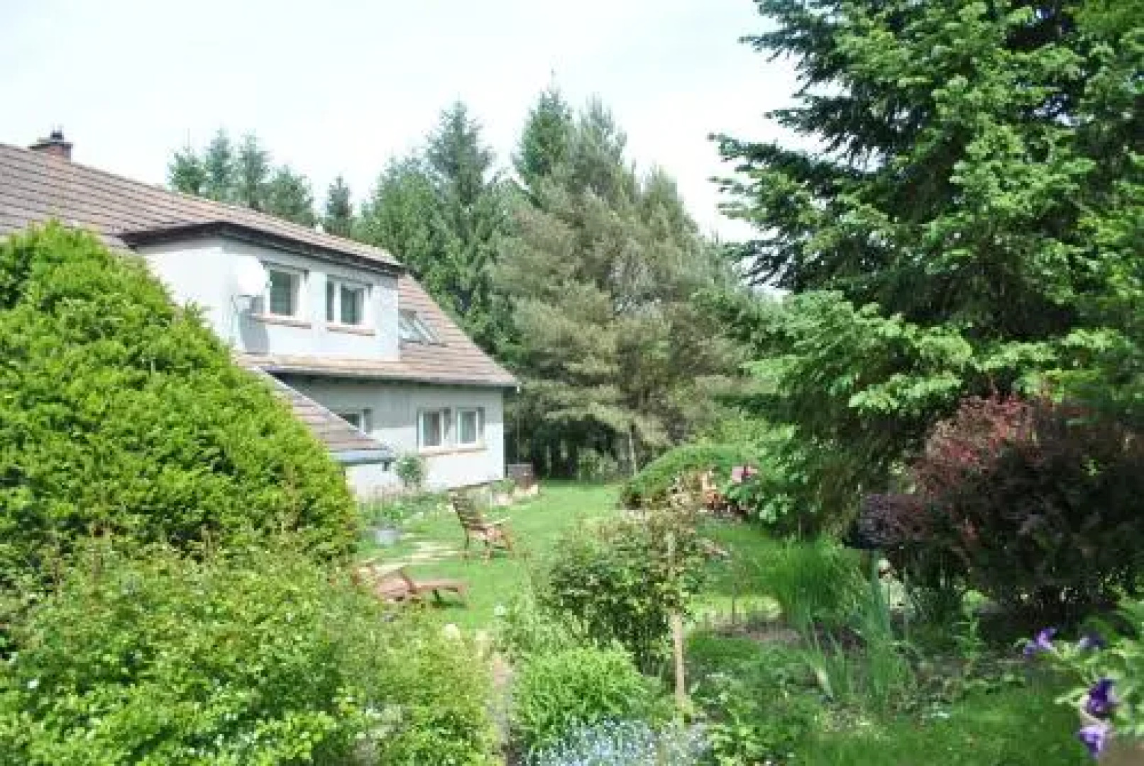 Na Piotrowickiej Przełęczy