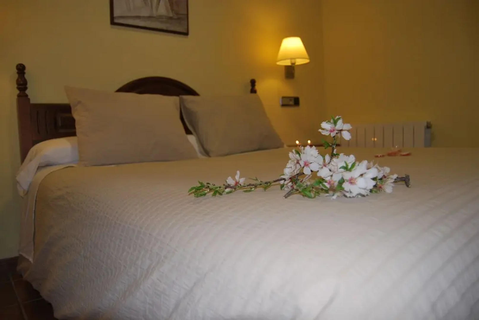 La Encina Centenaria