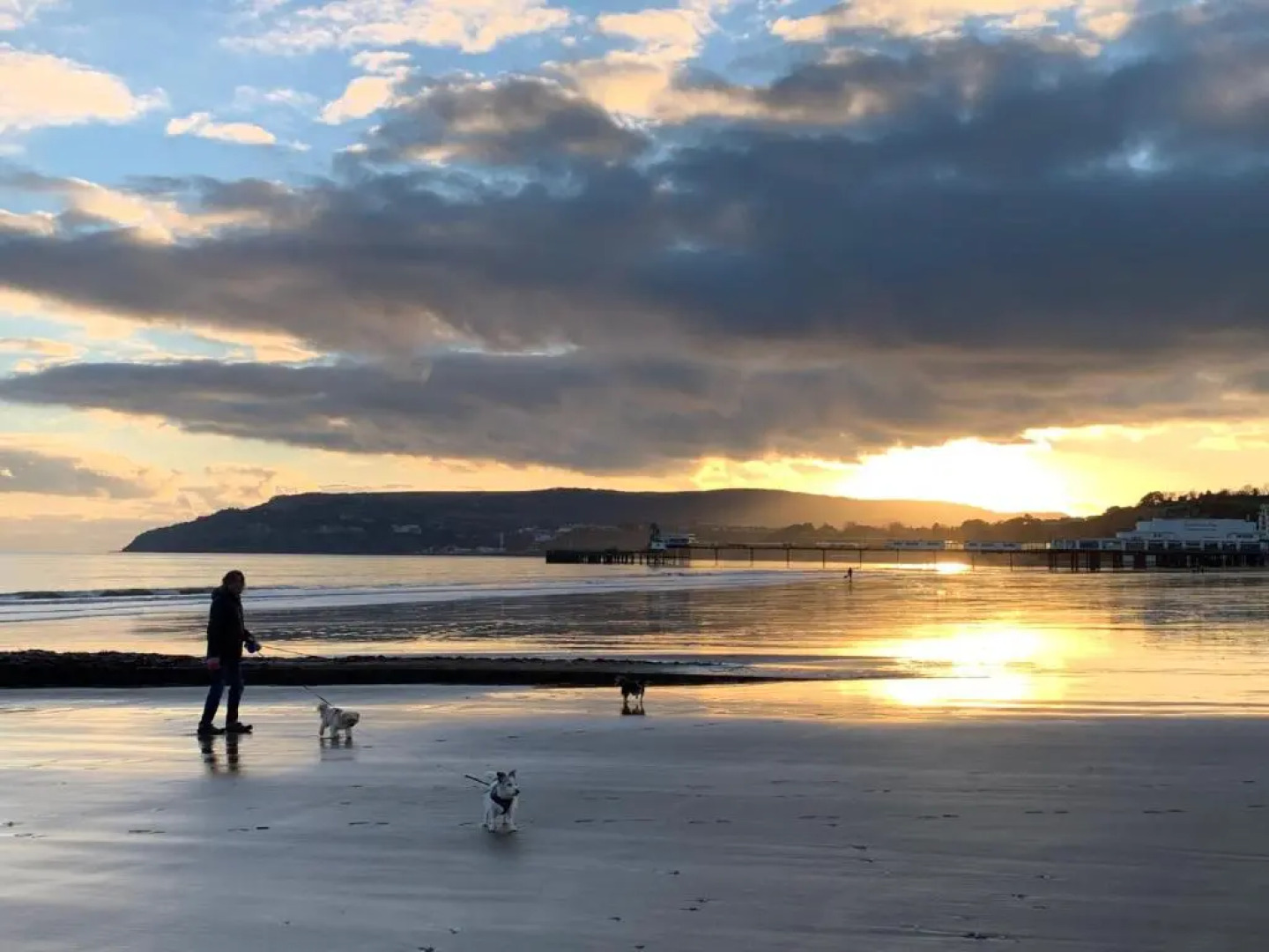 Wight orchid island Hotel