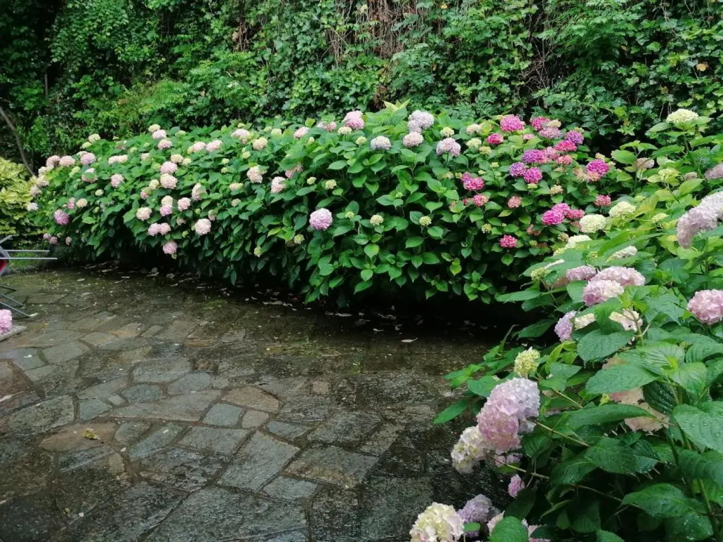 Casa Vacanza Il Sorriso Del Lago