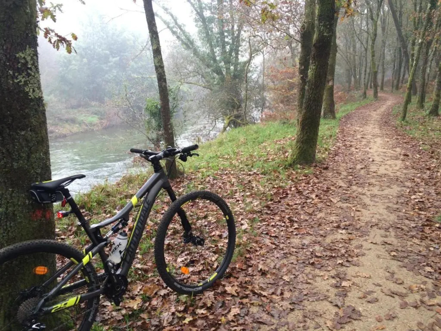 Residencial Mondariz Balneario 123