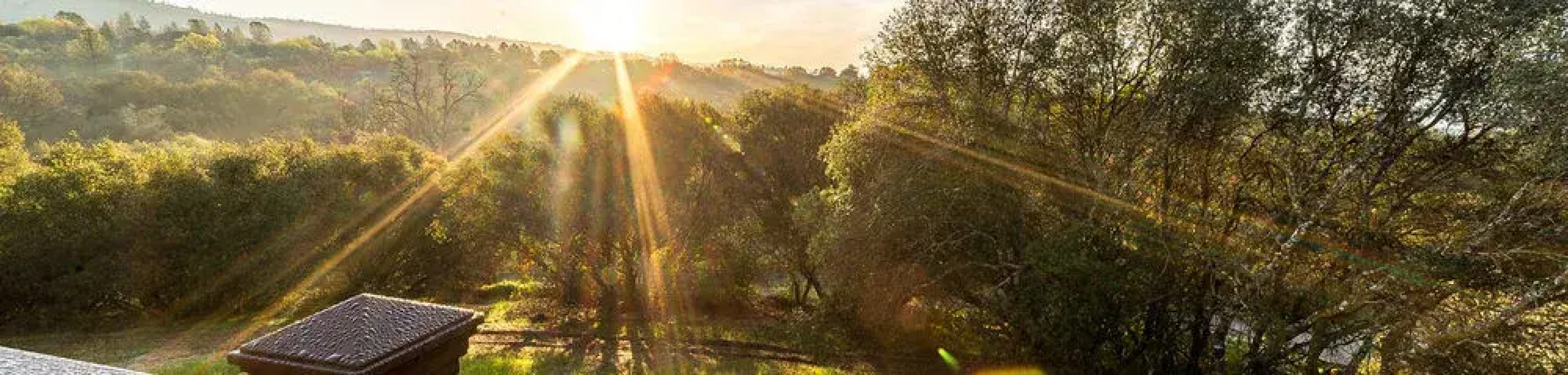 Inn the Woods Suites