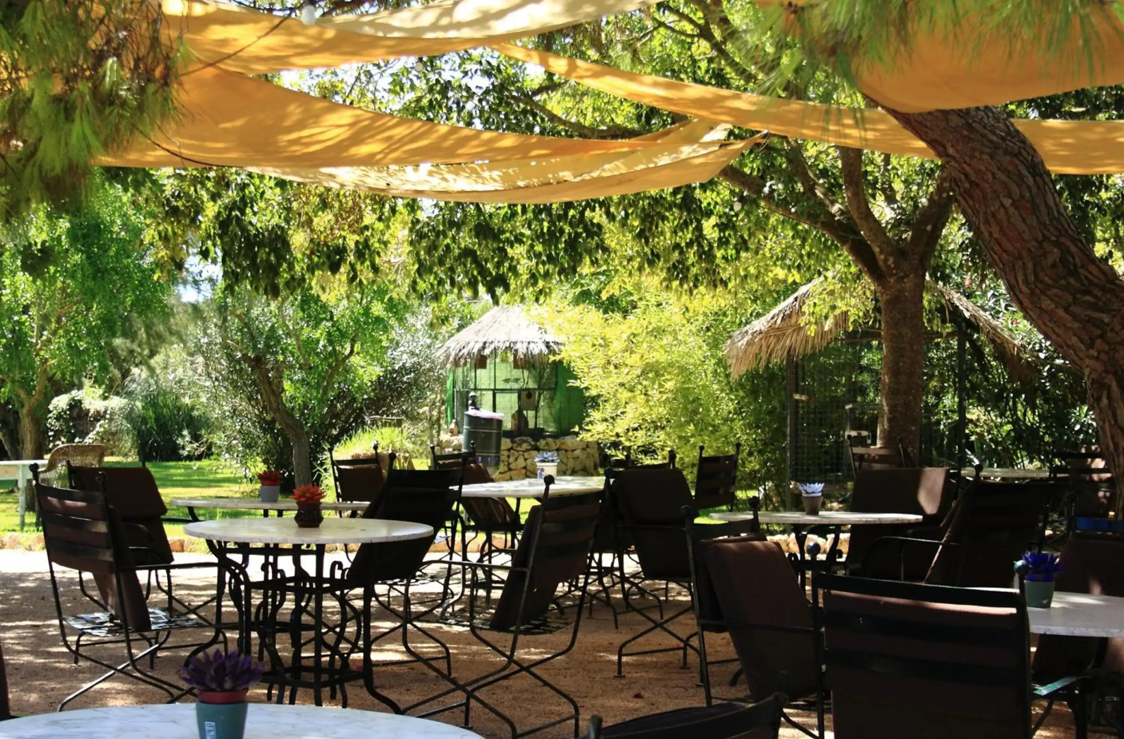 Petit Hotel Es Figueral