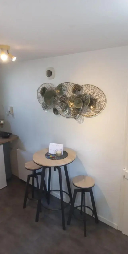 Studio promenade bord de Seine Rouen