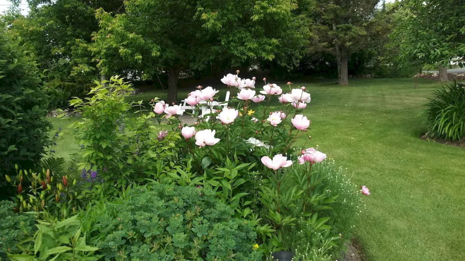 Windermere Lakeside Bed and Breakfast