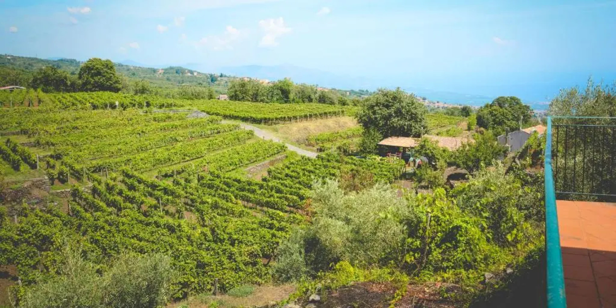 Agriturismo Le Case Del Merlo