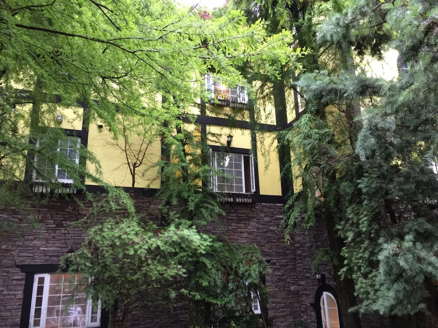 Provence Rose Lodge in Ching Jing