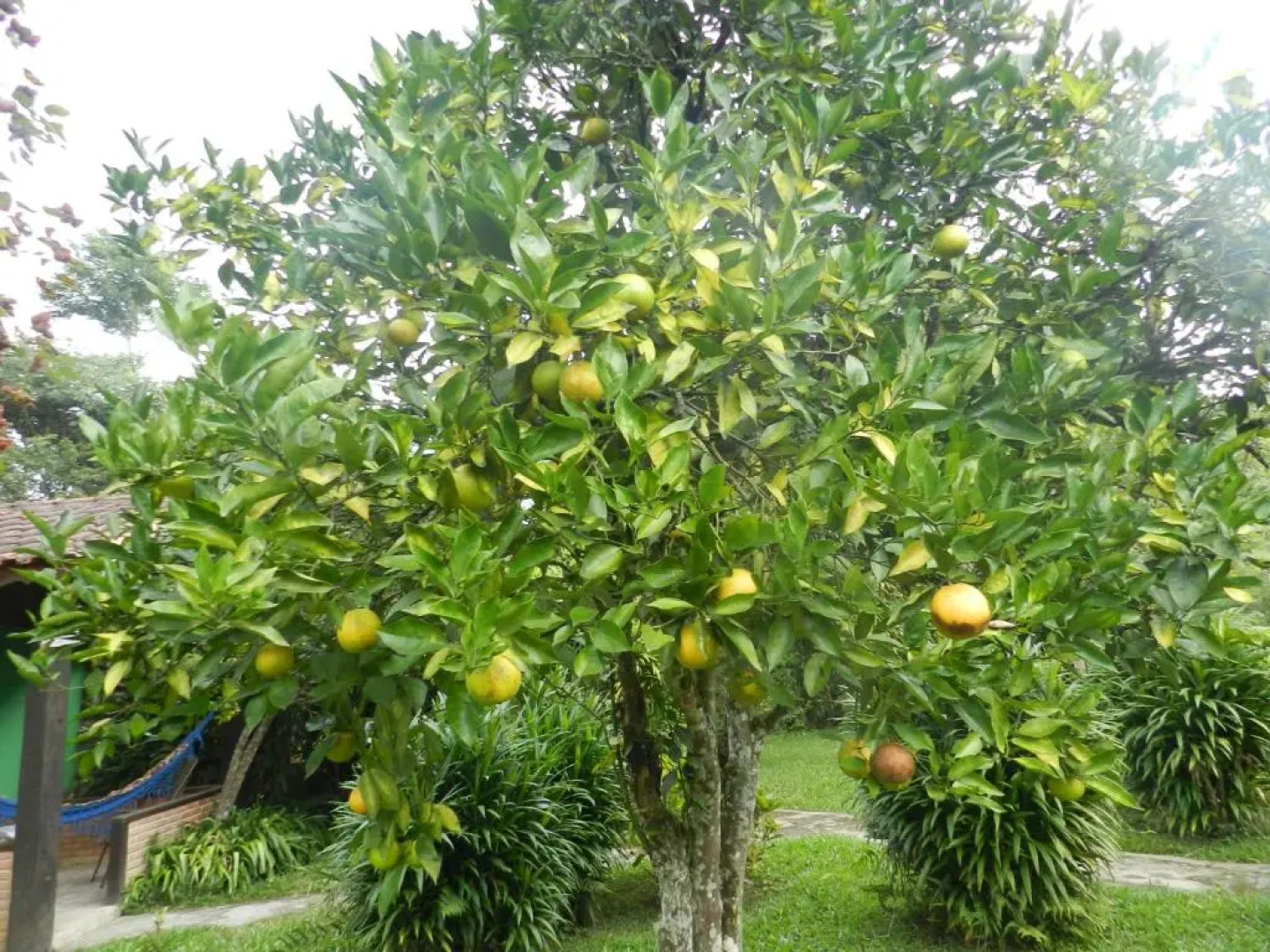 Pousada Recanto do Pinheirão