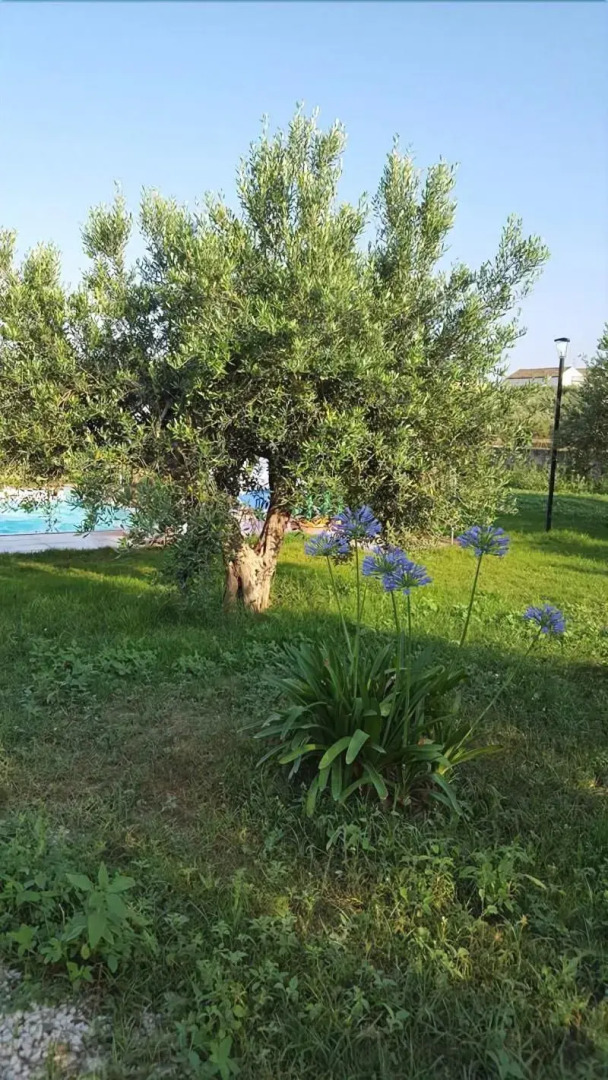 Le case di Anna e Carla