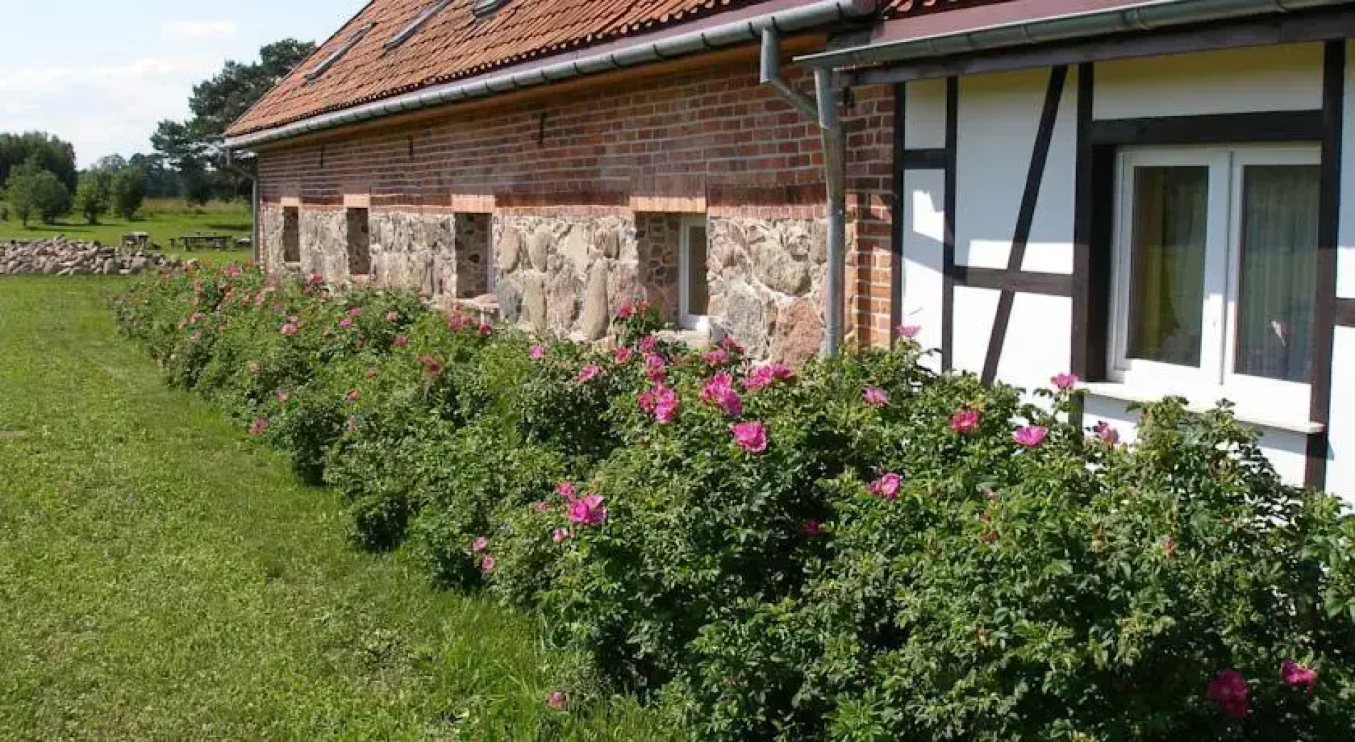 Gdzie diabeł mówi dobranoc