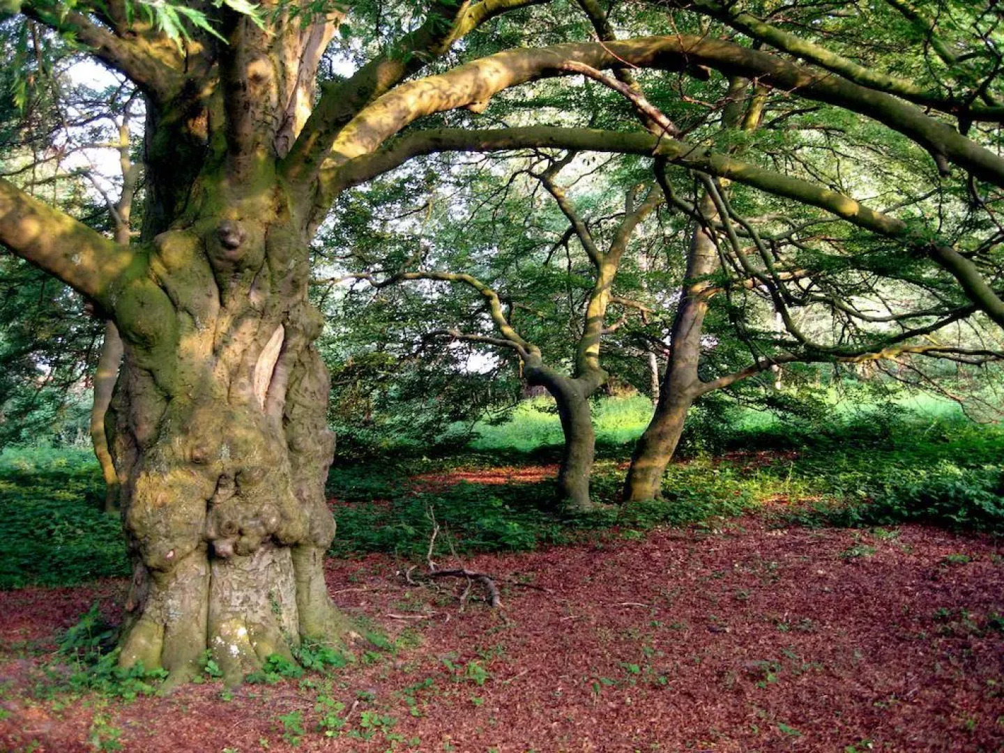 Kavaliershaus Schloss Blücher