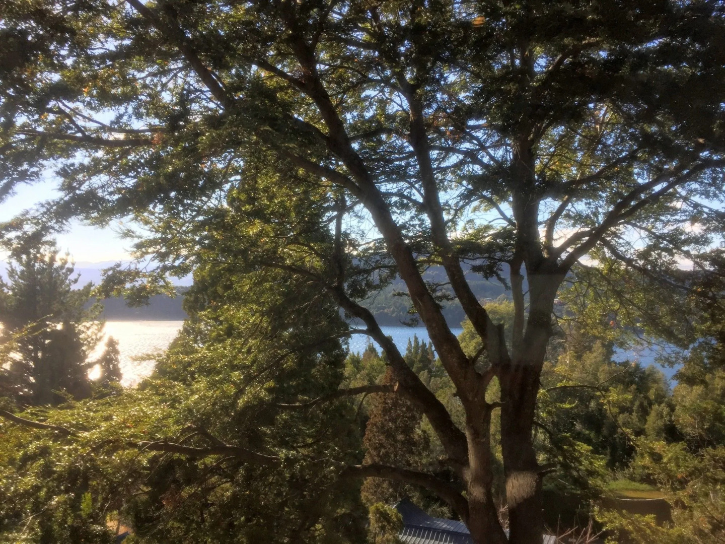 Bosque del Nahuel Boutique Hotel & Spa