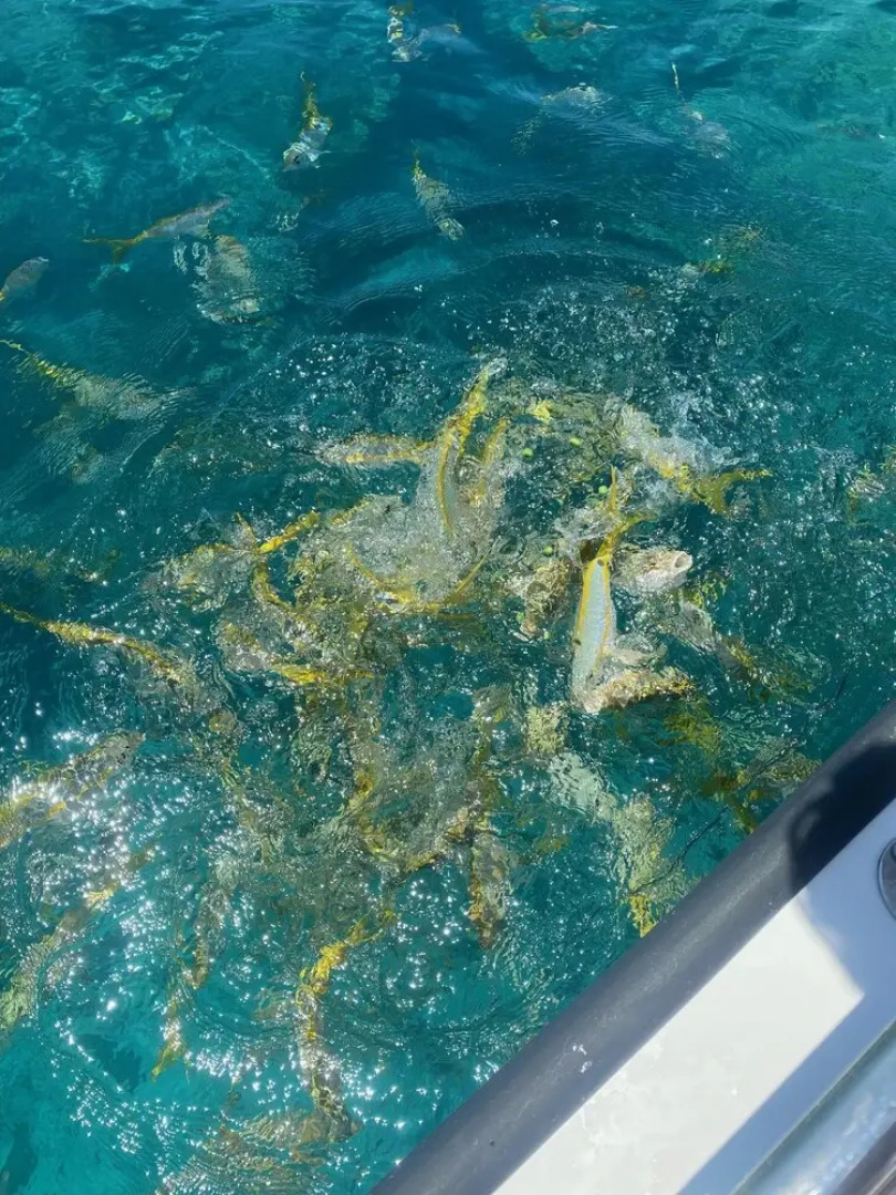 Waterfront Condo With Sunset Views 2 Bedroom Condo by Redawning