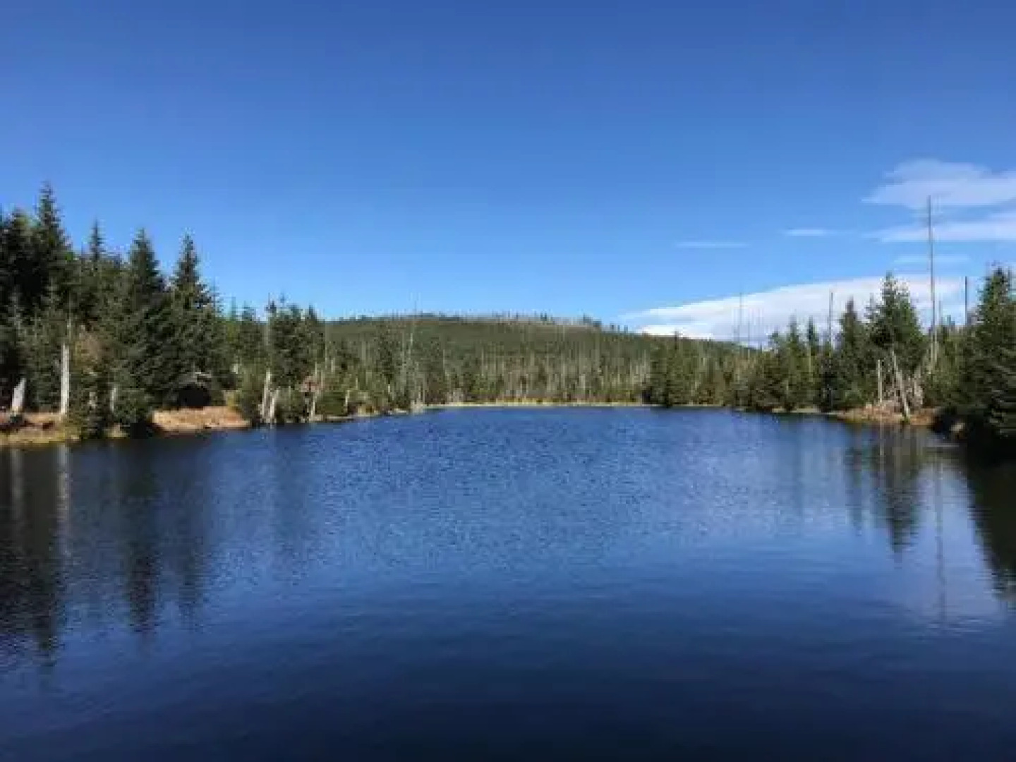 Landurlaub bei Familie Haug