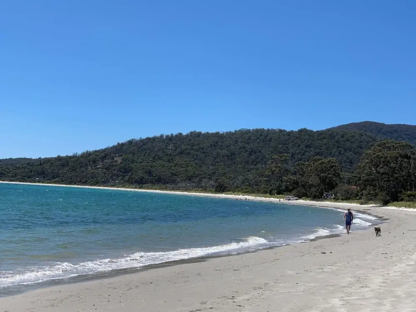 Blossoms on the Bay - 4 Bedrooms