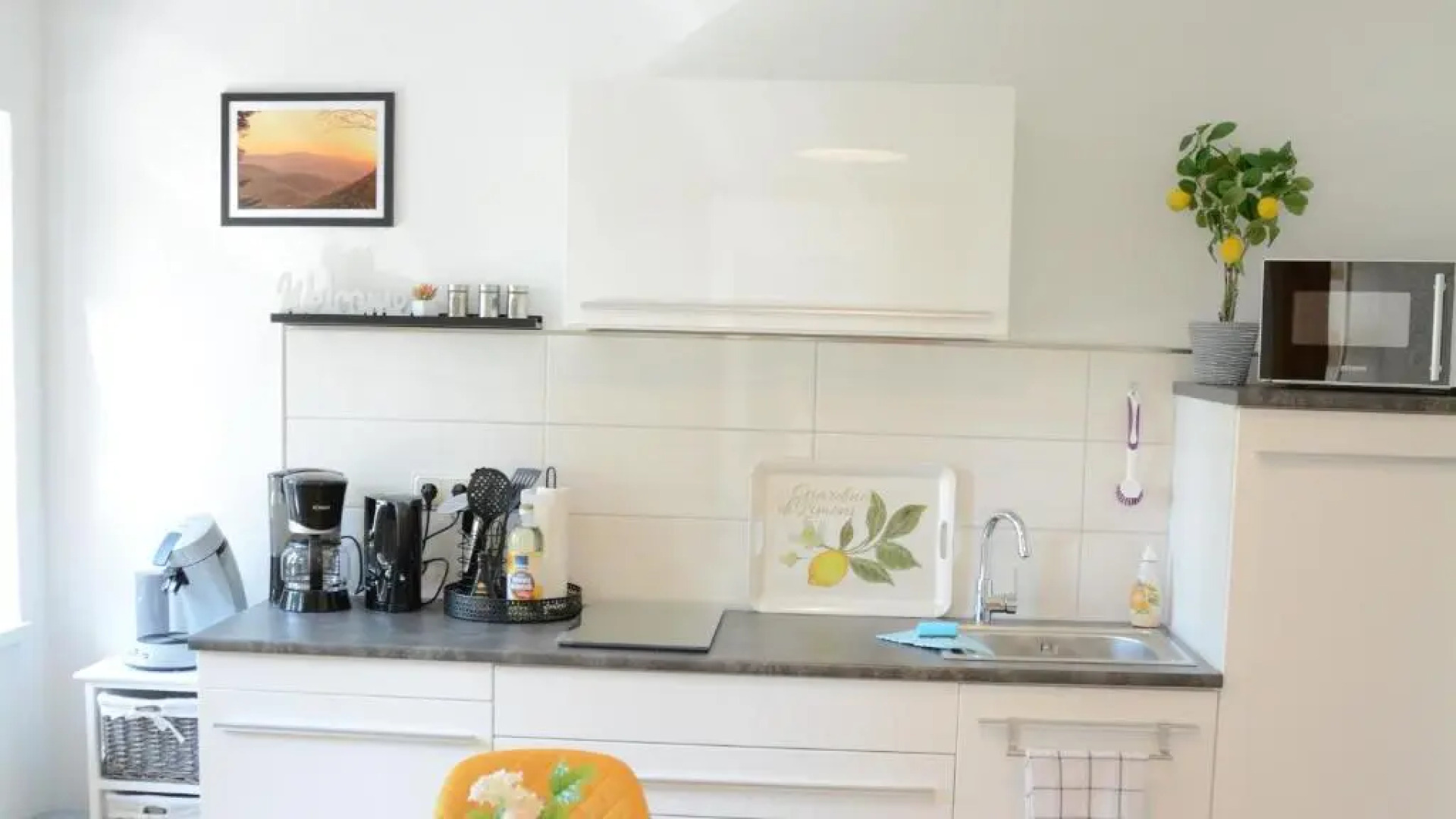 Rosenwinkel Appartement im OG