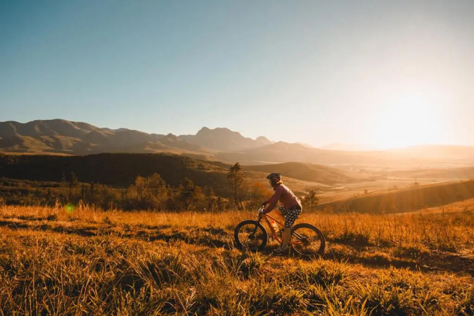 Strawberry Hill Farm