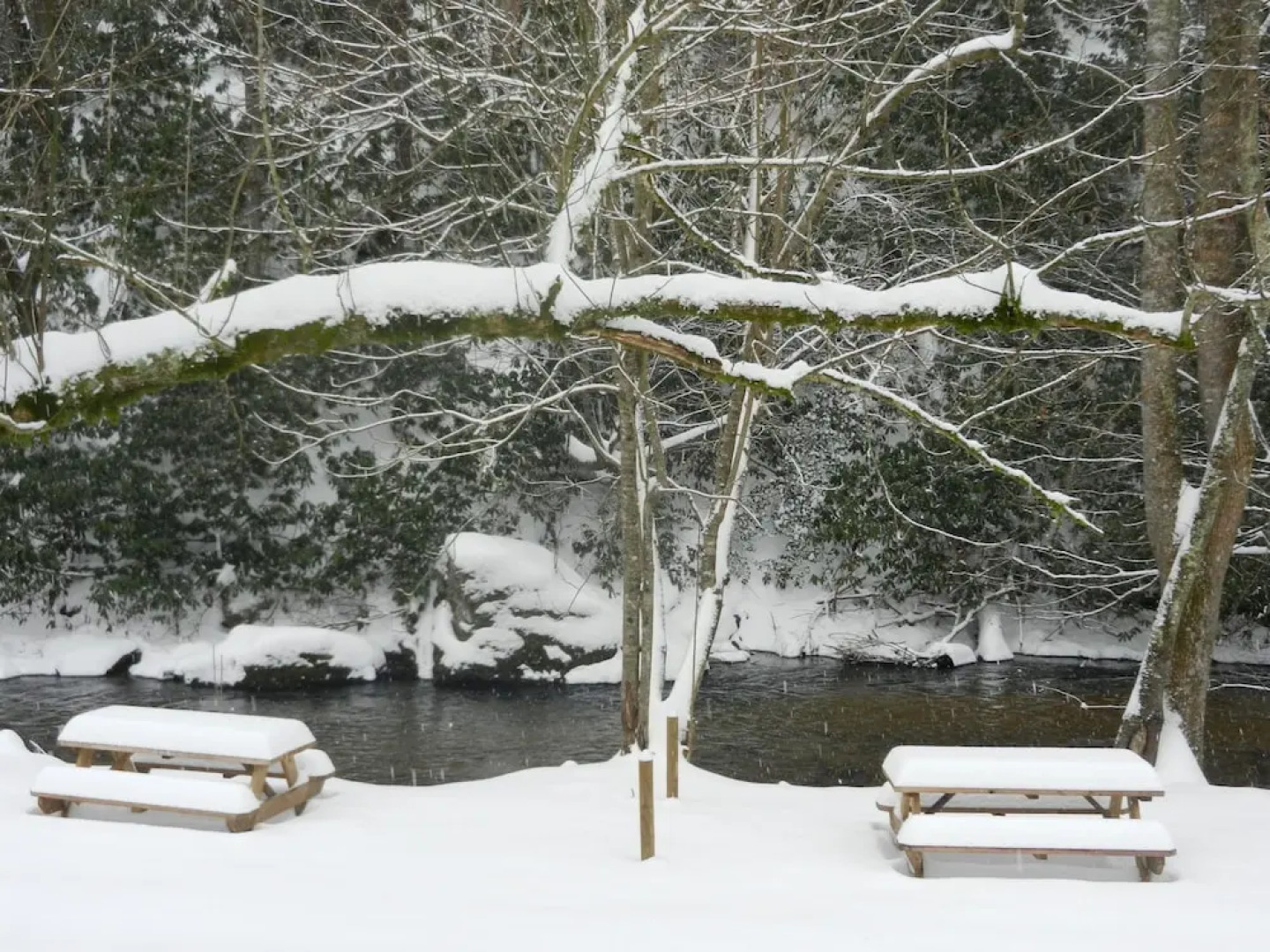 Stoney Fork Bed and Breakfast