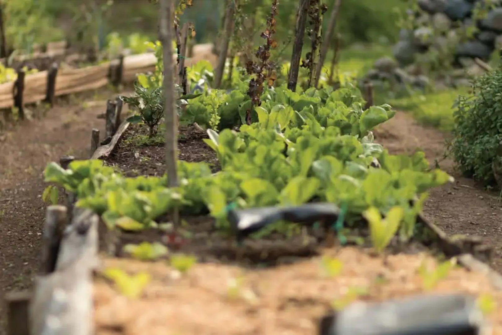 Santuario Natural El Tular