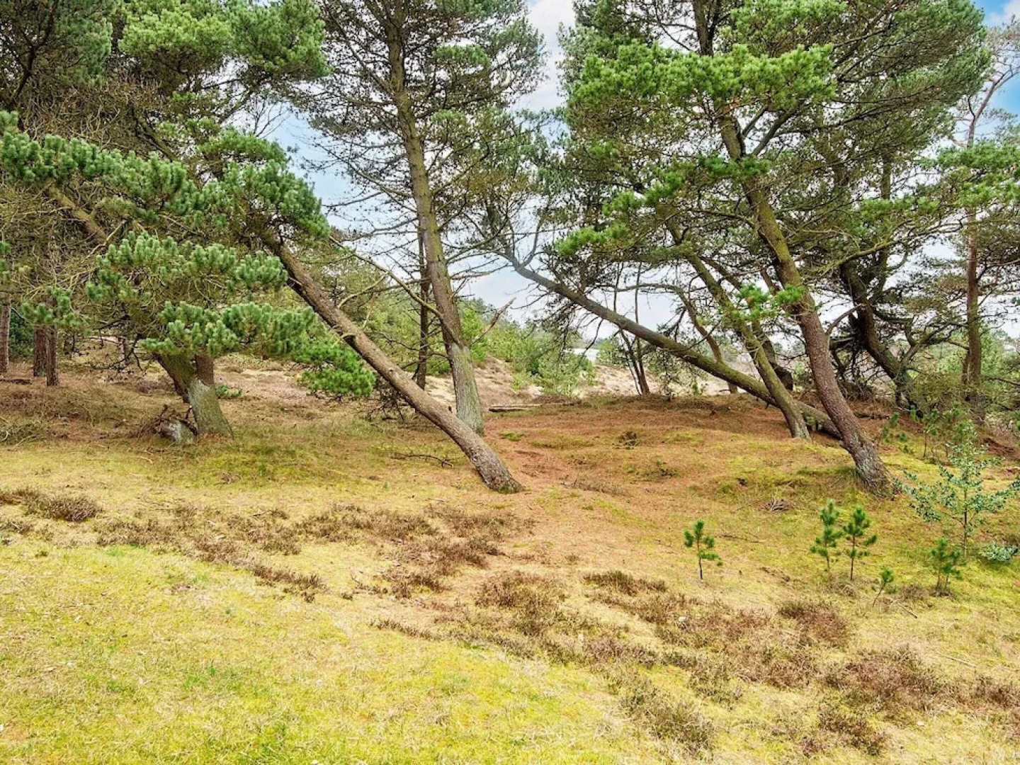 6 Person Holiday Home in Romo-by Traum