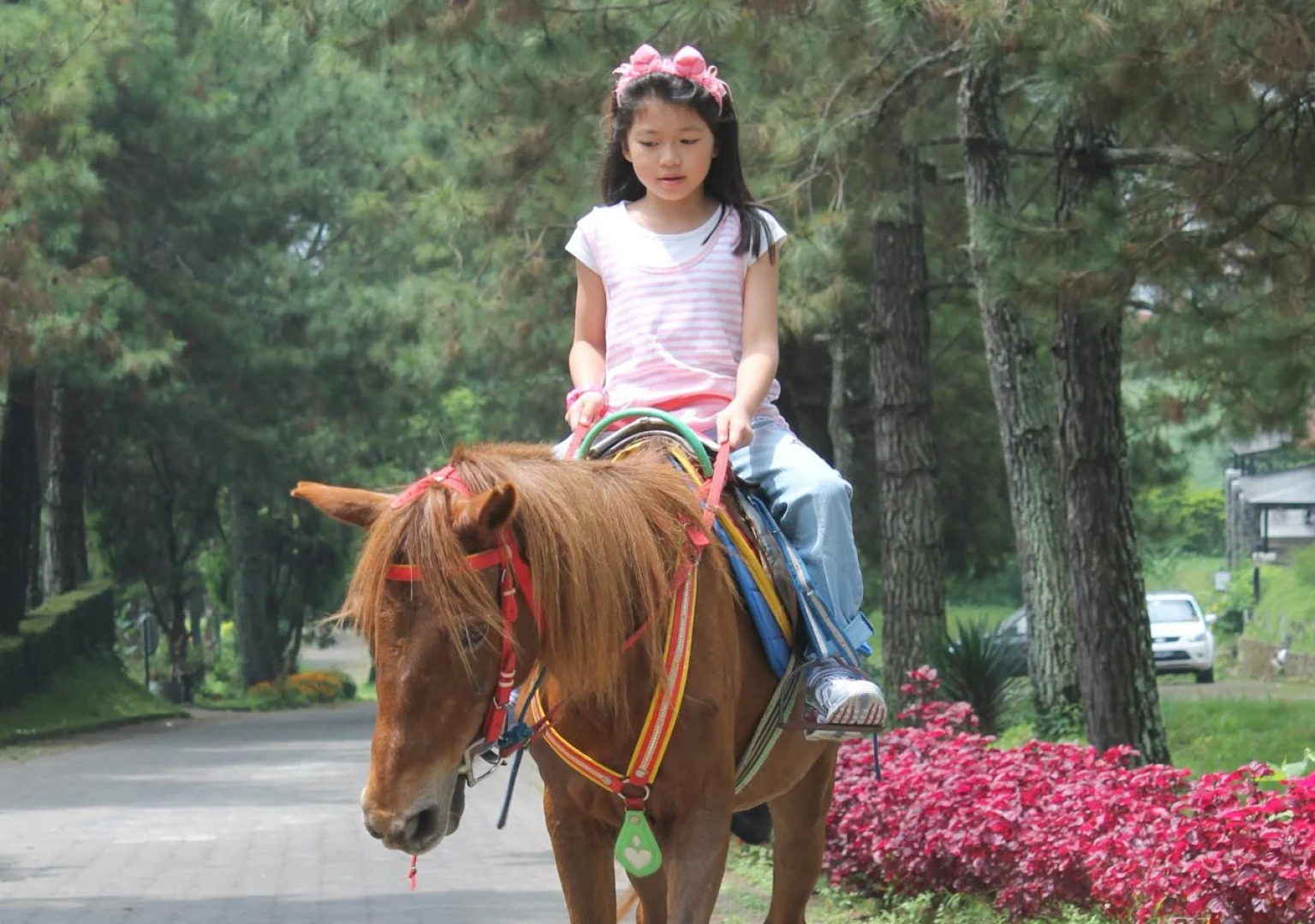 Maple House by Villa Istana Bunga