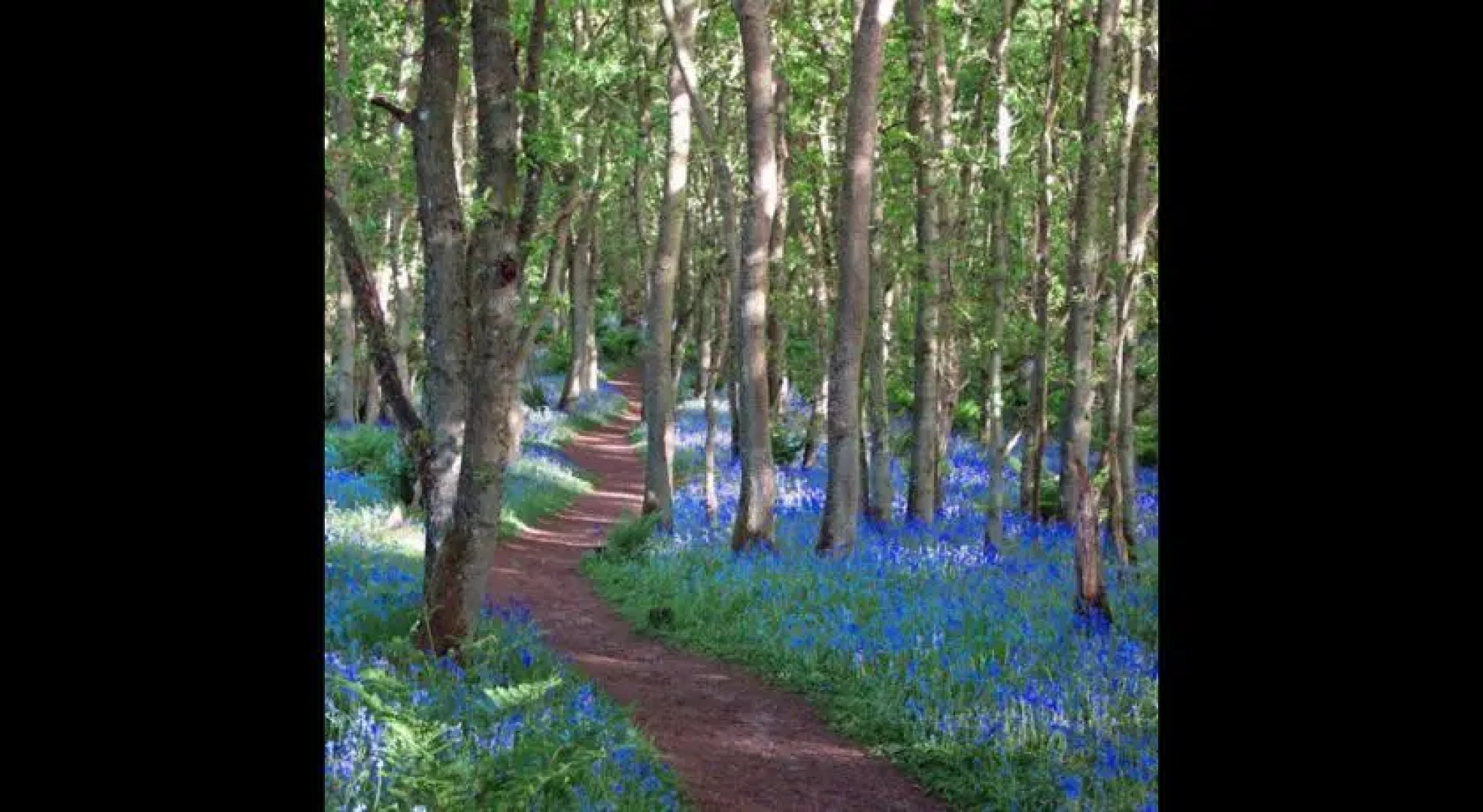 Shocarjen House B & B