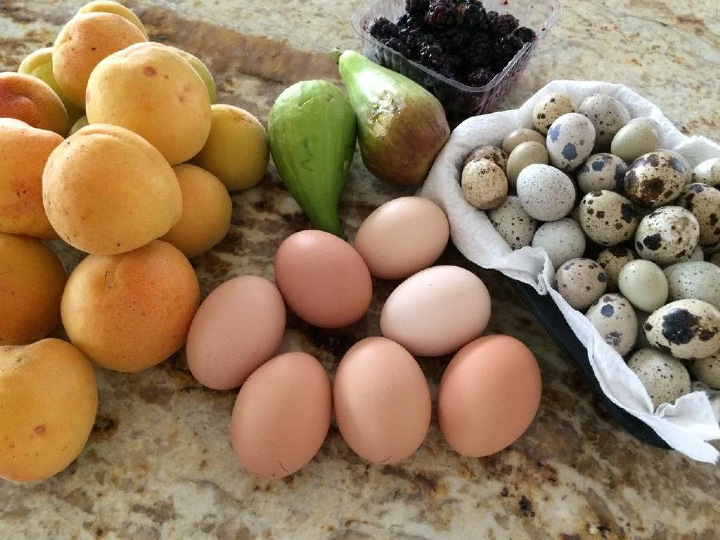 Karri House. Eat - Stay - Love