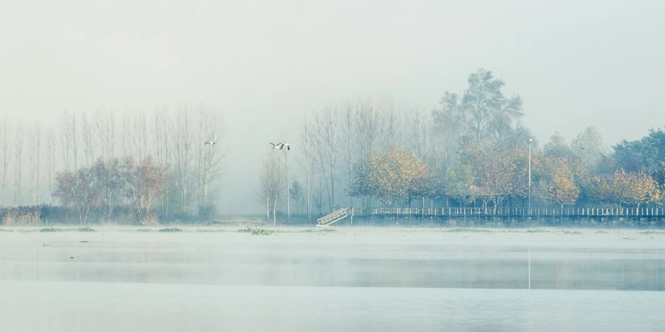 HMB Fermentelos Hotels