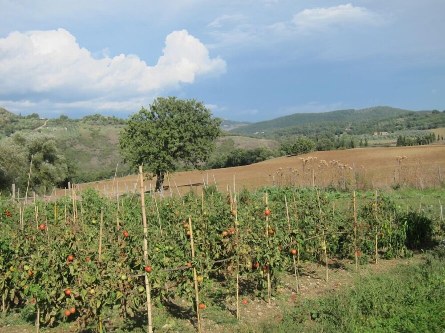 Agriturismo Podere Paugnano