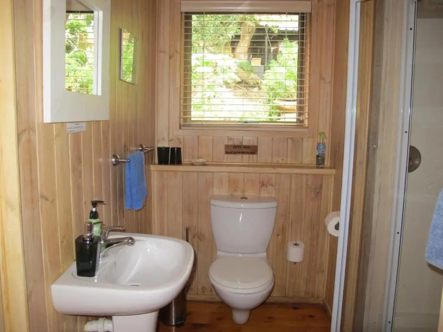 Sedgies on the Water